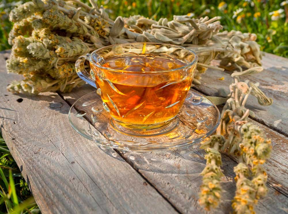 What Is Greek Mountain Tea
