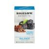 Bigelow Benefits Balance Cinnamon and Blackberry Herbal Tea